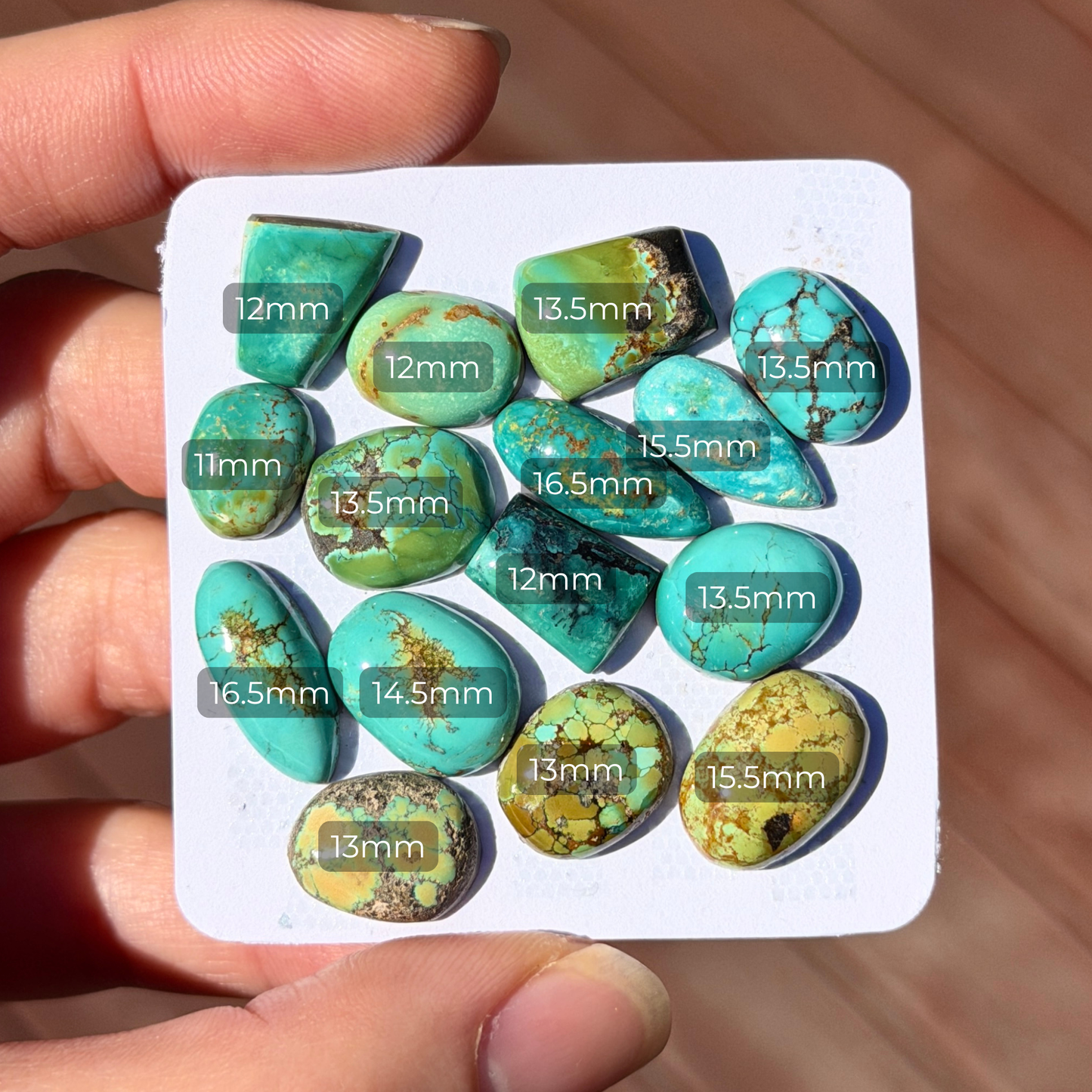 15pc Hubei Turquoise Round Cabochons Smooth - 12-17mm (FULL LOT)