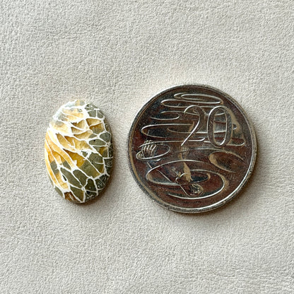 ‘Dragonfly Wings' Fossilised Coral Oval Cabochon - 22.5mm x 15mm (W3)