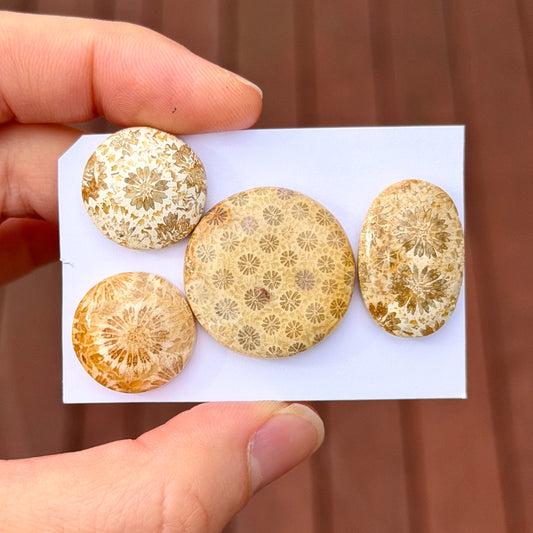 17-25mm Cream Fossilised Coral Cabochon Smooth - Choose your Stone (A)W2