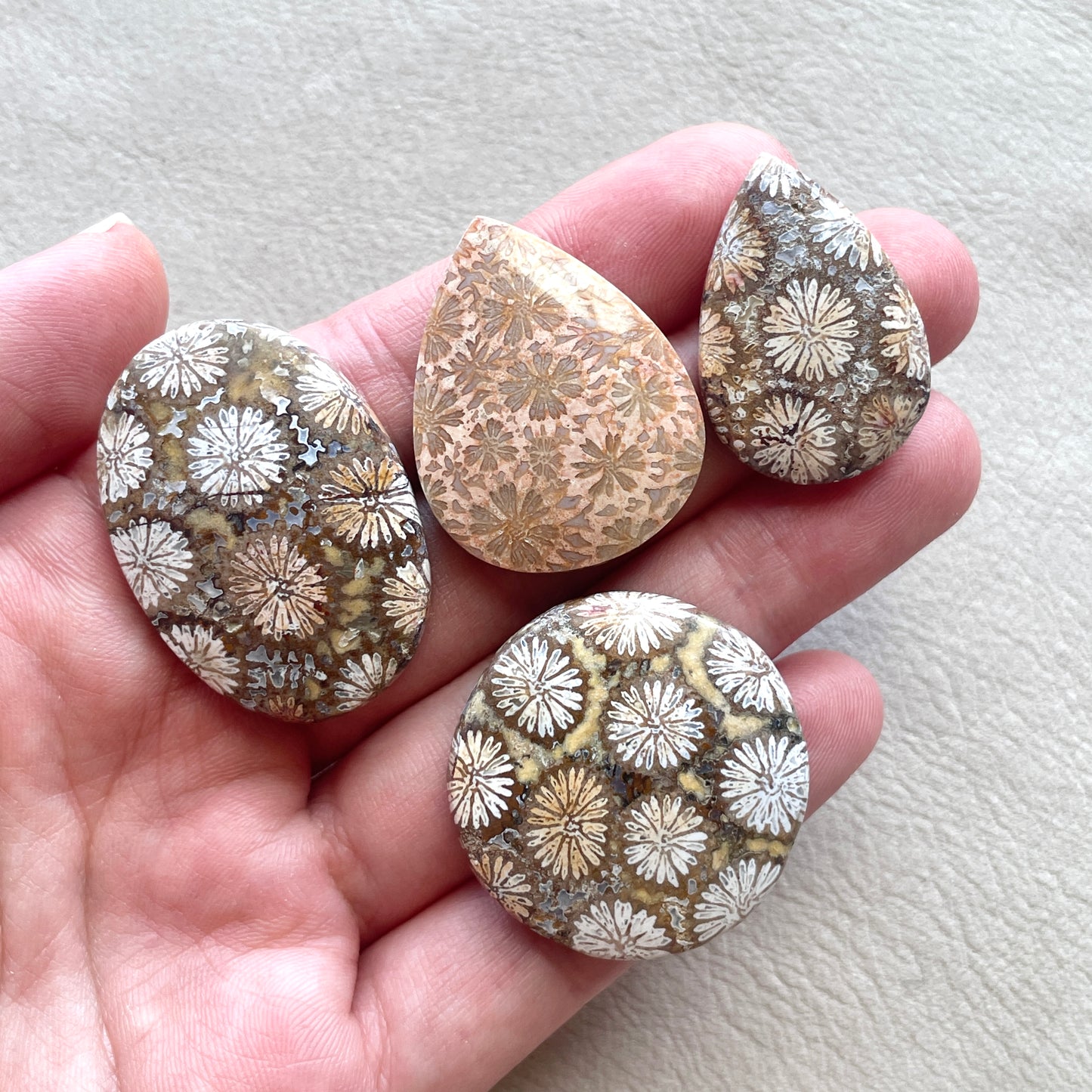 Fossil Coral Cabochon Smooth - Choose your Stone (W1)