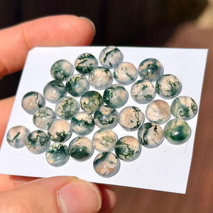 8mm Green Moss Agate Cabochons Round, Smooth - Set of 3 (W8)