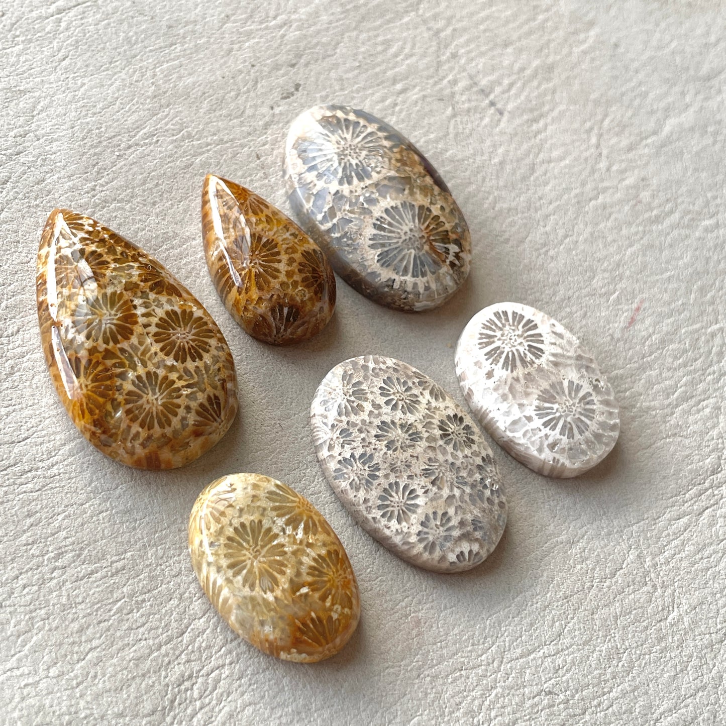 21-32mm Fossilized (Fossil) Coral Cabochon Smooth - Choose your Stone (W7)