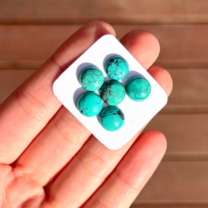 6pcs Green Hubei Turquoise round Cabochons Smooth - 9-10mm (FULL LOT) (W16)
