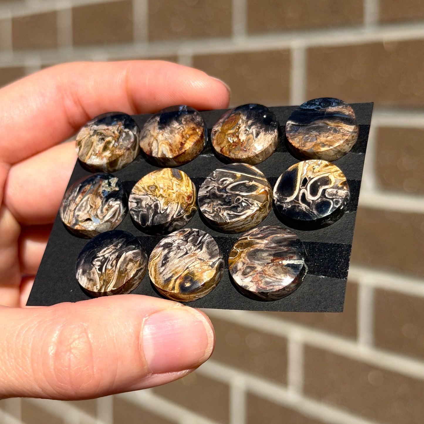 Fossilised/Petrified Black Palm Root Cabochon Round Smooth (15mm) - Choose your Stone (W13)