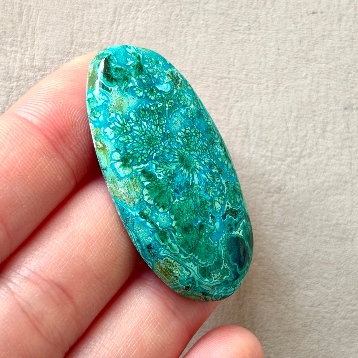 ‘Blooms’ Malachite Chrysocolla Oval Cabochon Smooth 42.5mm x 22.5mm (W8)
