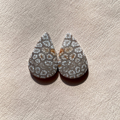 Fossil Coral Teardrop Cabochon Pair (A)