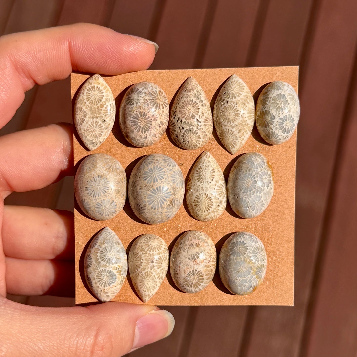 Fossil Coral Cabochon Smooth - Choose your Stone (W10)