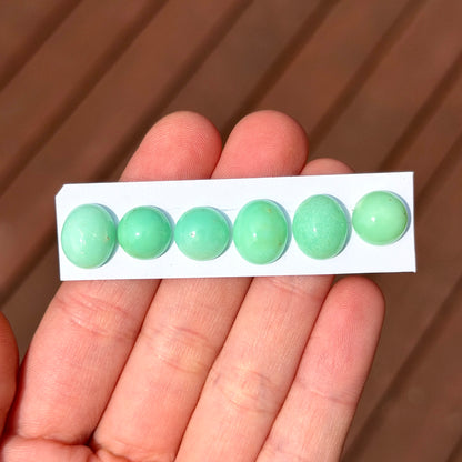 10-12mm Australian Chrysoprase Cabochon Smooth - Choose your Stone (W8)