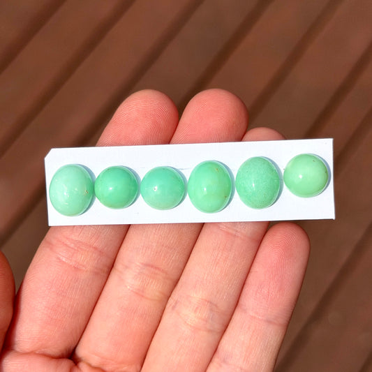 10-12mm Australian Chrysoprase Cabochon Smooth - Choose your Stone (W8)