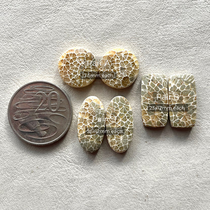 17-25mm Honeycomb Fossil Coral Cabochon Pairs - Choose your Pair (W5)