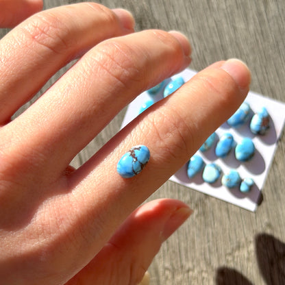 6-12mm Mini Golden Hills Turquoise Cabochon Smooth - Choose your Stone (W14)