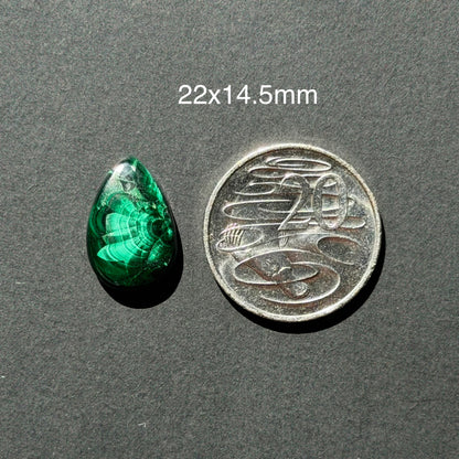 ‘Half Bloom' Chatoyant Velvet Malachite Teardrop Cabochon - 22mm x 14.5mm (W17)