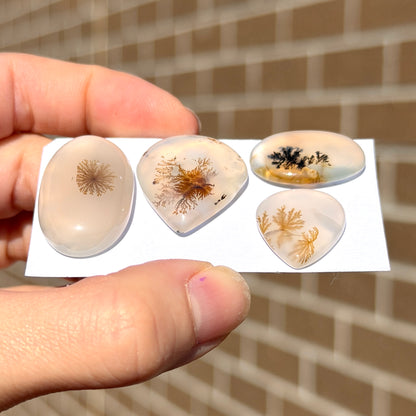 20-30mm Scenic Dendritic Agate Cabochon Smooth - Choose your Stone (W14)