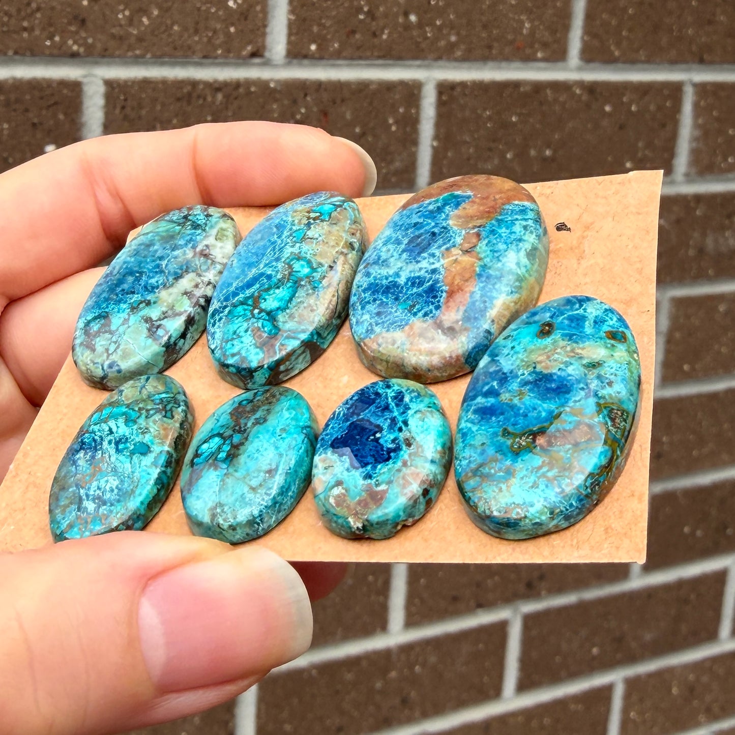 21-36mm Shattuckite (with Azurite) Cabochon Smooth - Choose your Stone - W11