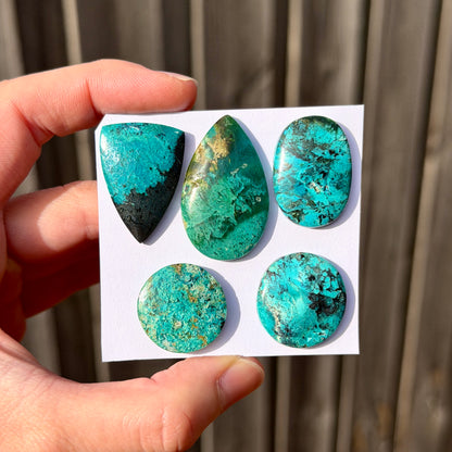 *RARE* Gem Silica/Chrysocolla in Chalcedony (Bacan Stone) Cabochon Smooth - Choose your Stone (W15)