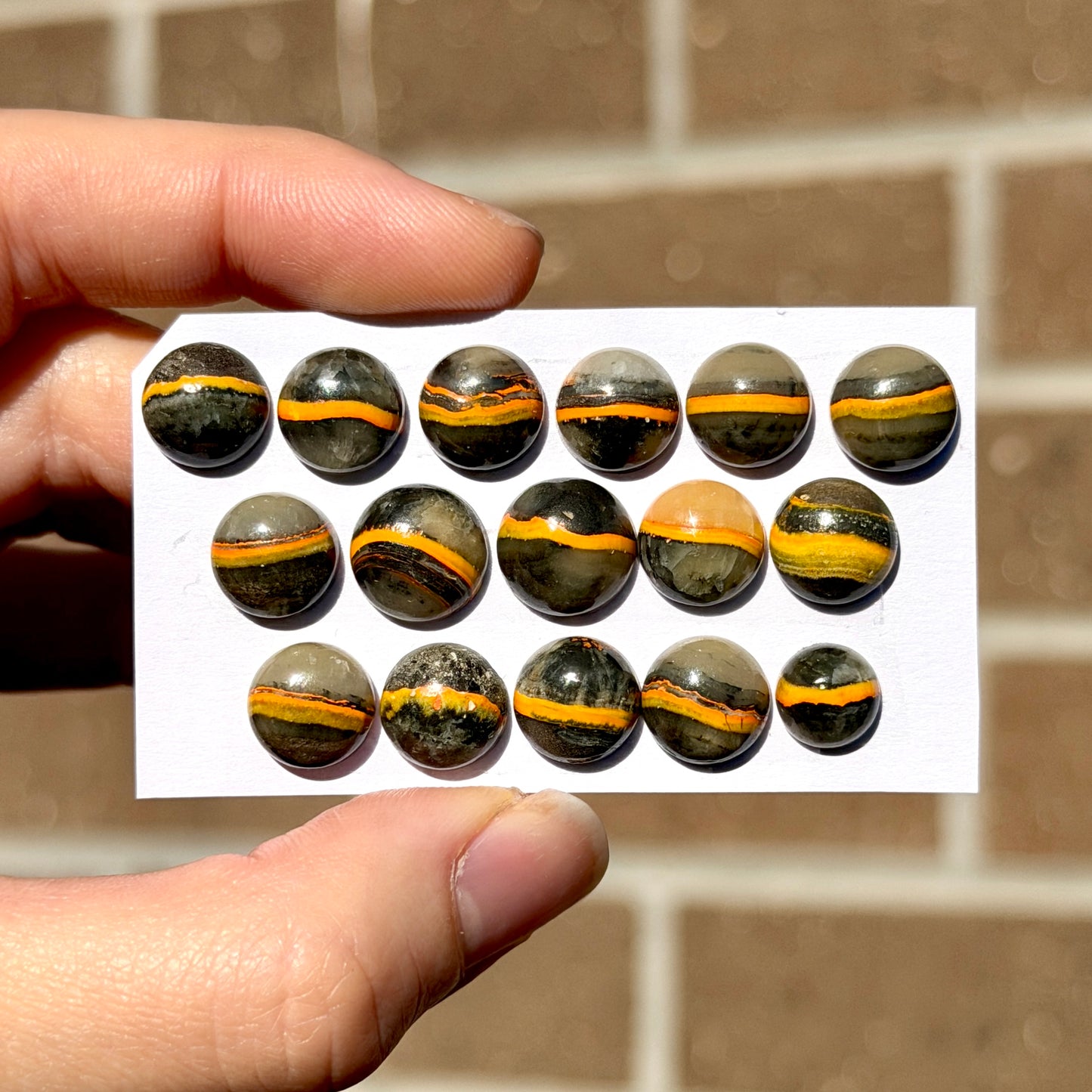 8-11mm Bumblebee Jasper Round Cabochon Smooth - Choose your Stone (W9)