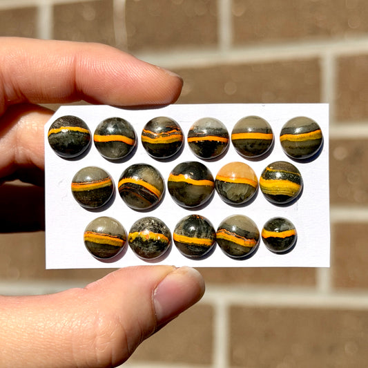 8-11mm Bumblebee Jasper Round Cabochon Smooth - Choose your Stone (W9)