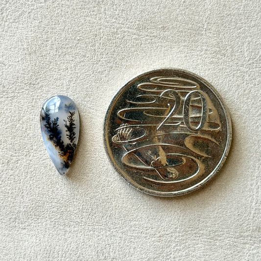 ‘Rooted Together' Dendritic Opal Agate Teardrop Cabochon - 17.5mm x 8.5mm (W3)