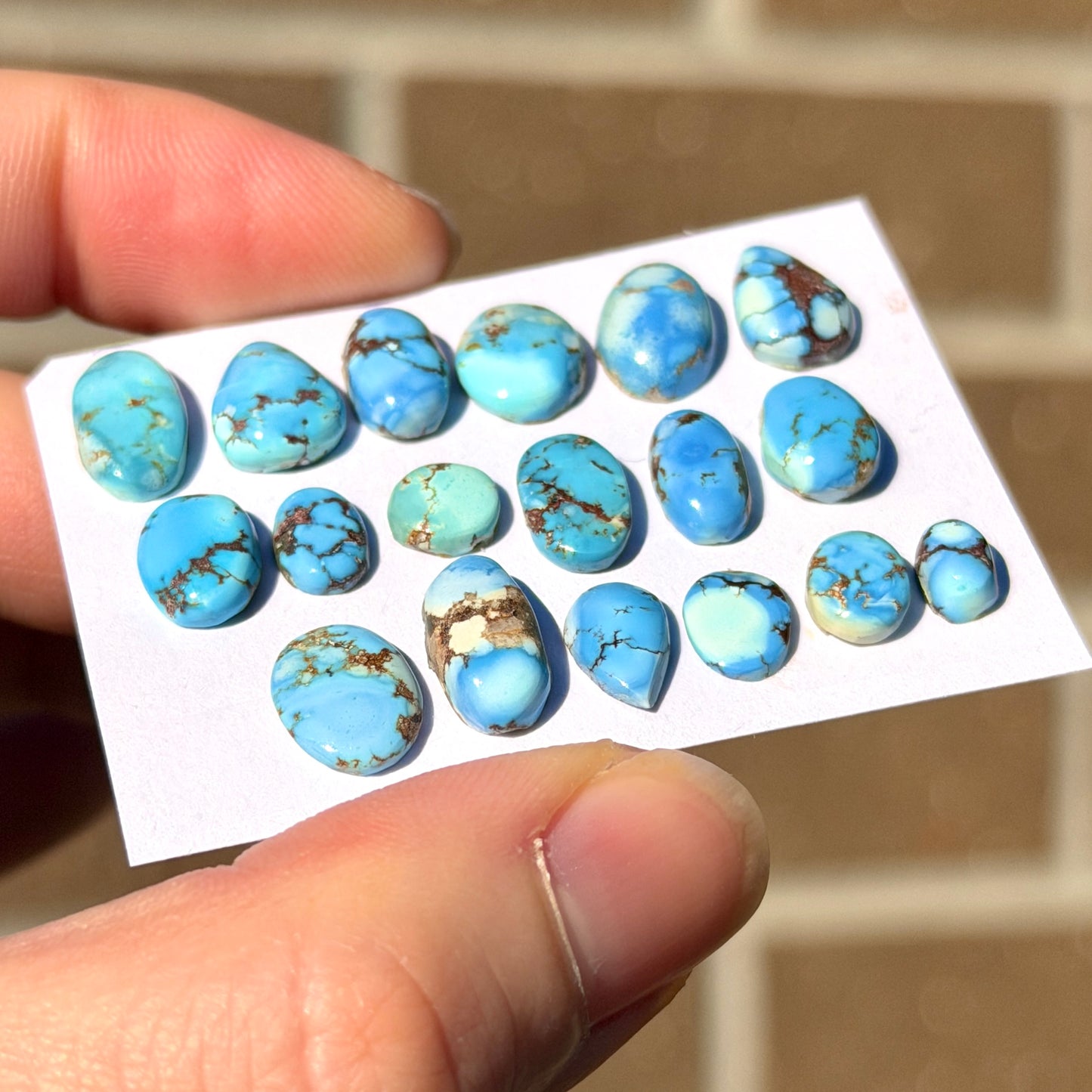 6-12mm Mini Golden Hills Turquoise Cabochon Smooth - Choose your Stone (W14)