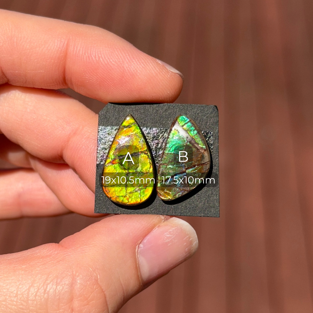 17-19mm Canadian Ammolite Cabochon Smooth - Choose your Stone (W6)