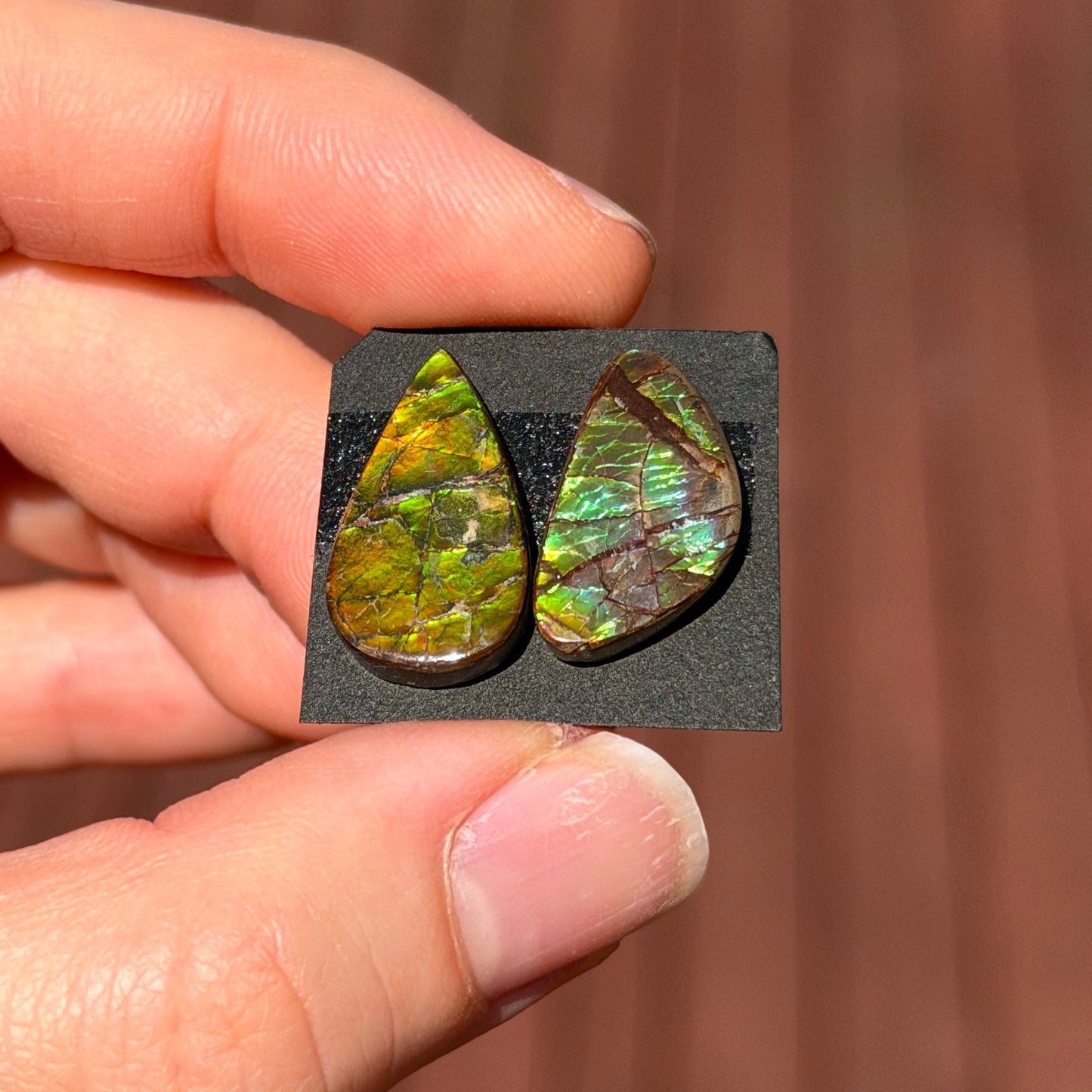 17-19mm Canadian Ammolite Cabochon Smooth - Choose your Stone (W6)