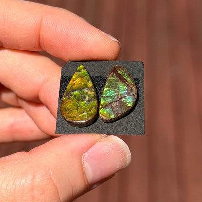 17-19mm Canadian Ammolite Cabochon Smooth - Choose your Stone (W6)