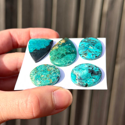 *RARE* Gem Silica/Chrysocolla in Chalcedony (Bacan Stone) Cabochon Smooth - Choose your Stone (W15)