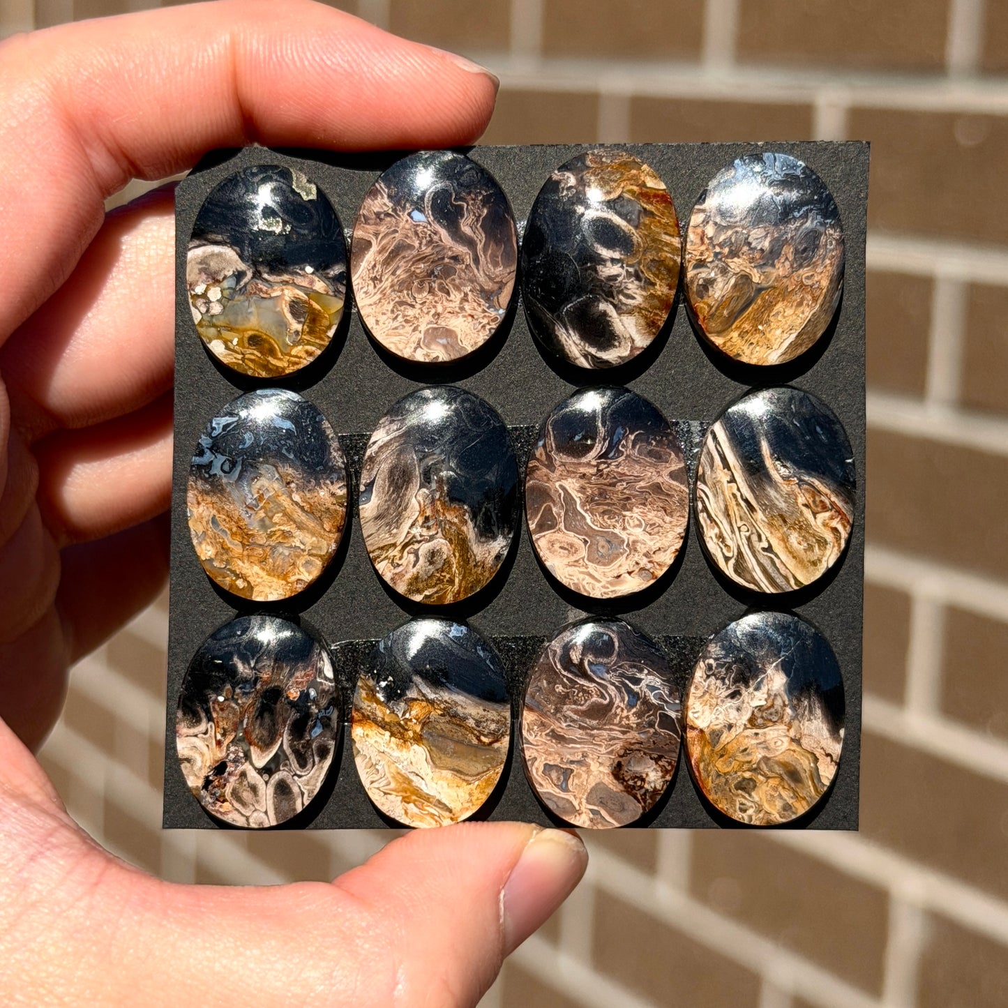 Fossilised/Petrified Black Palm Root Cabochon Oval Smooth (20x15mm) - Choose your Stone (W13)
