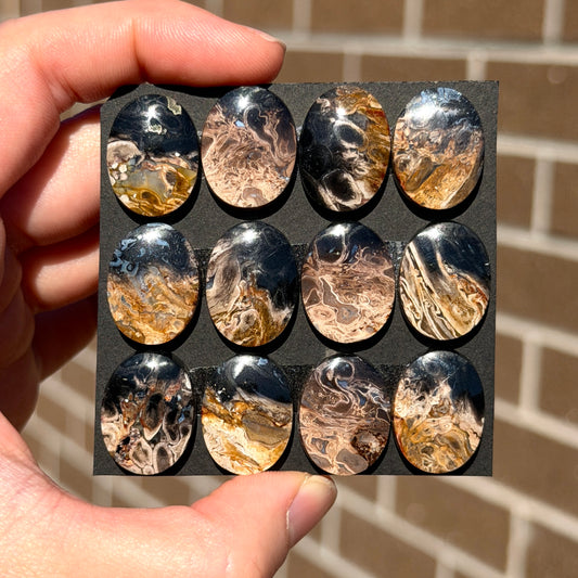 Fossilised/Petrified Black Palm Root Cabochon Oval Smooth (20x15mm) - Choose your Stone (W13)