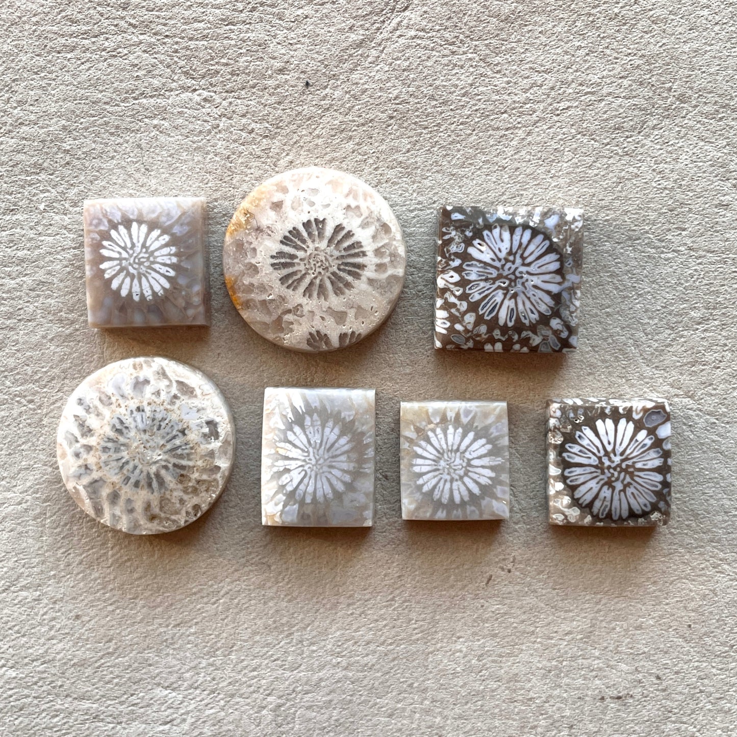 10-16mm Fossil Coral Round/Rectangle/Square Cabochon Smooth - Choose your Stone (W8)