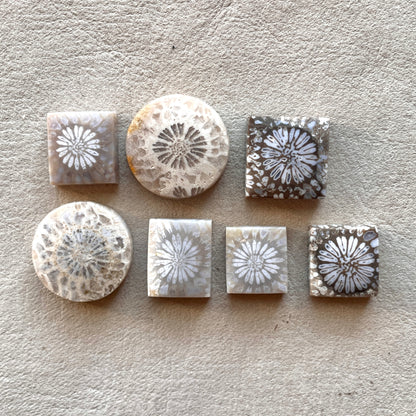 10-16mm Fossil Coral Round/Rectangle/Square Cabochon Smooth - Choose your Stone (W8)