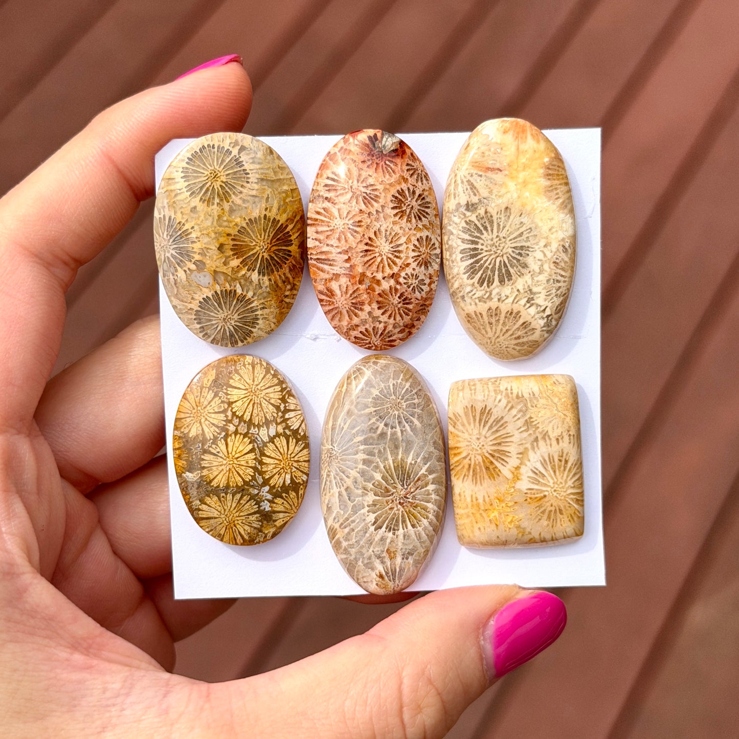 25-35mm Fossil Coral Cabochon Smooth - Choose your Stone (W13)
