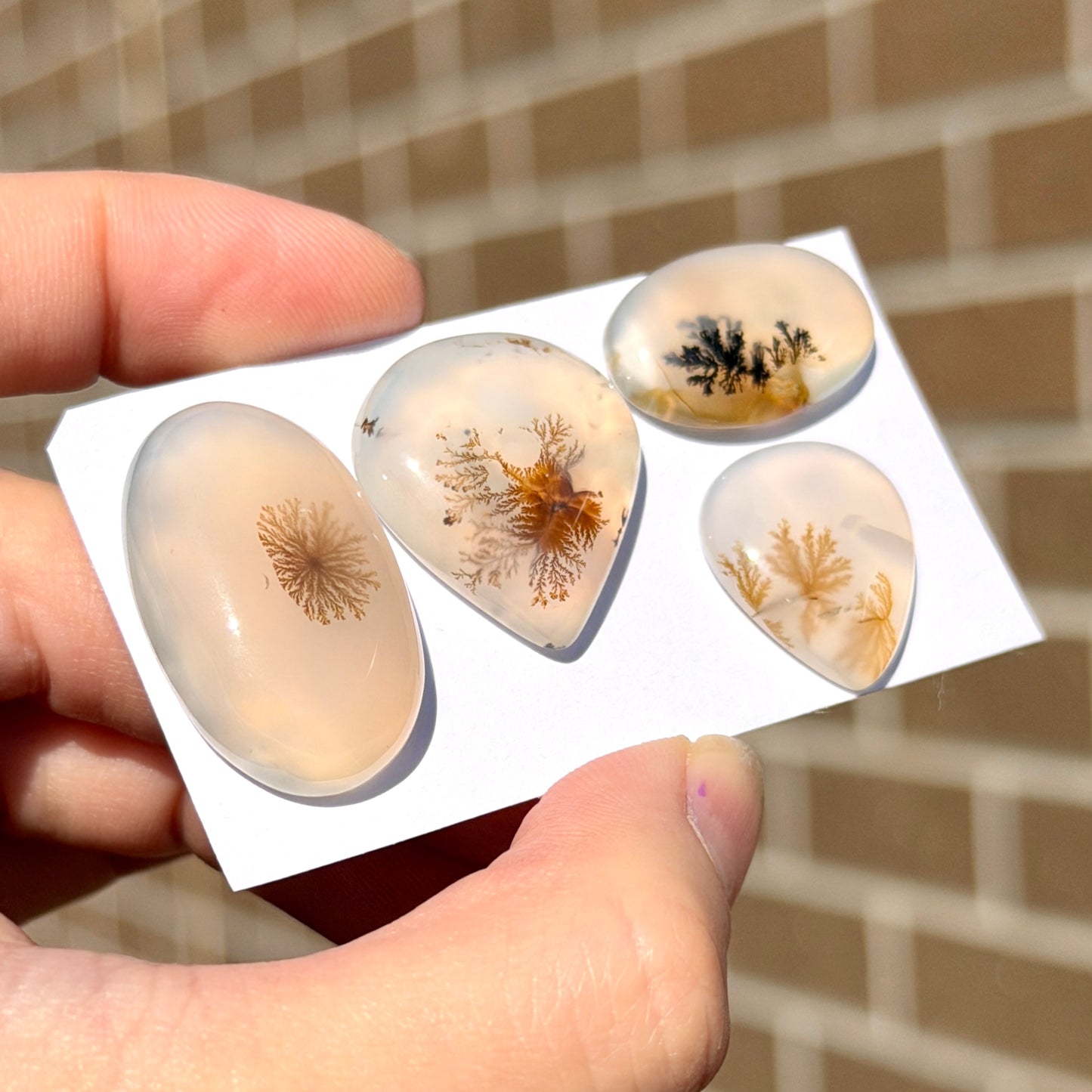 20-30mm Scenic Dendritic Agate Cabochon Smooth - Choose your Stone (W14)
