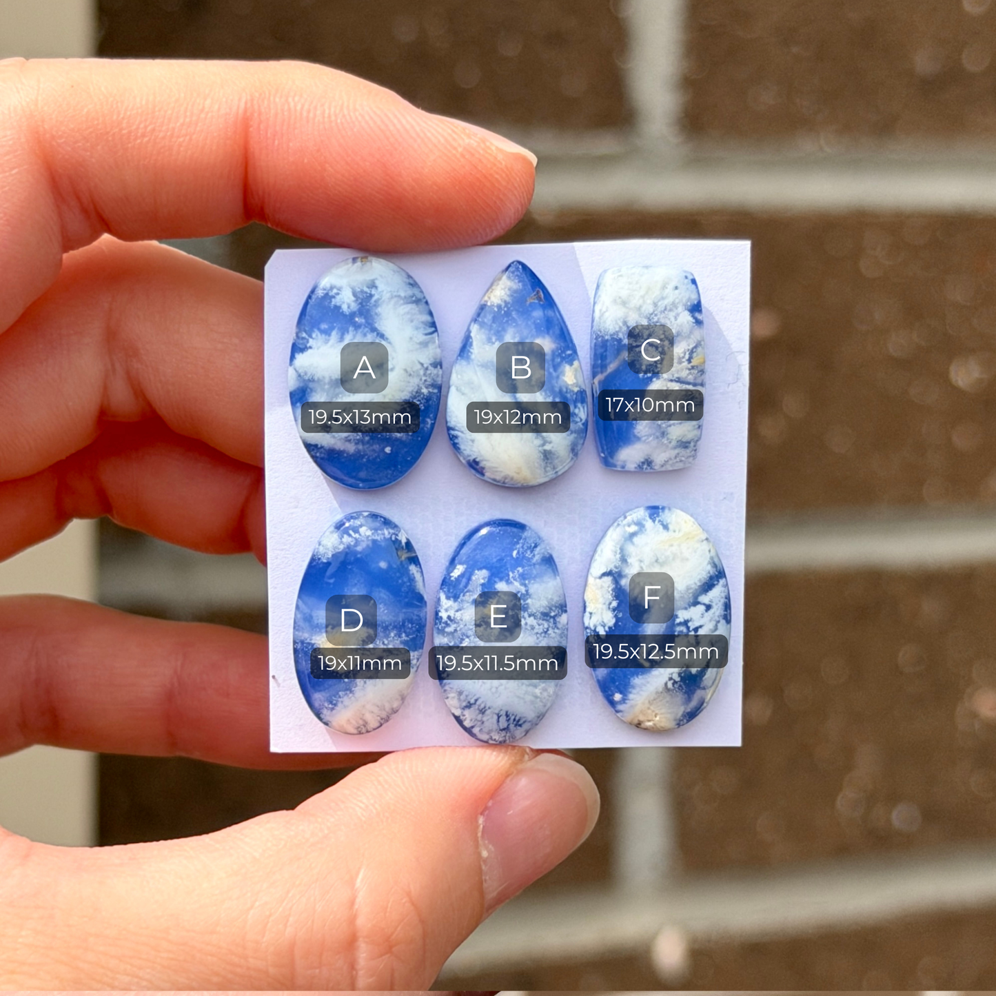 White/Dark Blue Plume Agate Doublet Cabochon Smooth - Choose your Stone (W9-EY)