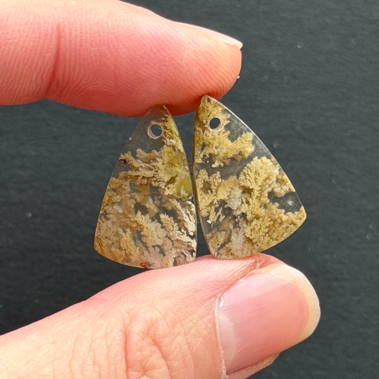 DRILLED Nebula (Ternate) Moss Agate Cabochon Pairs - Choose your Pair (W9)