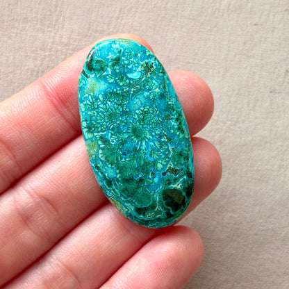 ‘Blooms’ Malachite Chrysocolla Oval Cabochon Smooth 42.5mm x 22.5mm (W8)