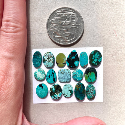 9-14mm Tibetan Turquoise Cabochon Smooth  - Choose your Stone (W11)