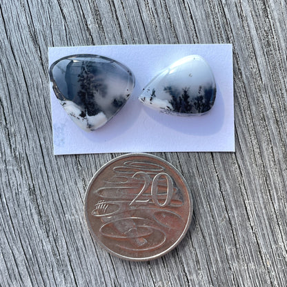 Dendritic Opal Cabochon Smooth - Choose your Stone (W6)