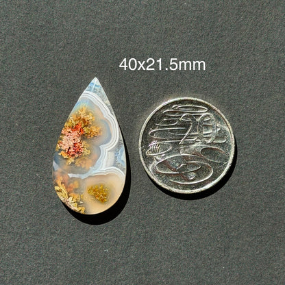 ‘Autumn at the Bend' Nebula Moss Agate Teardrop Cabochon - 40mm x 21.5mm (W17)