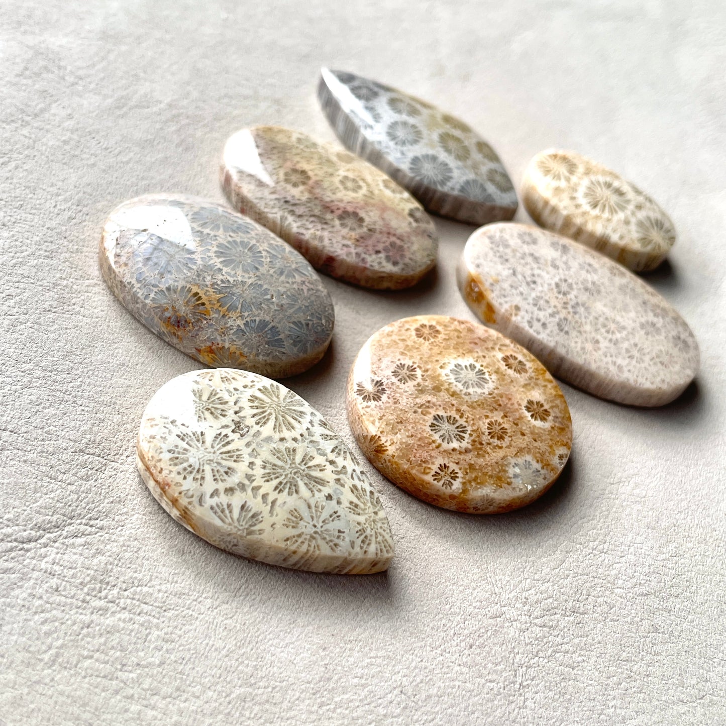 27-42mm Fossilized (Fossil) Coral Cabochon Smooth - Choose your Stone (W2)