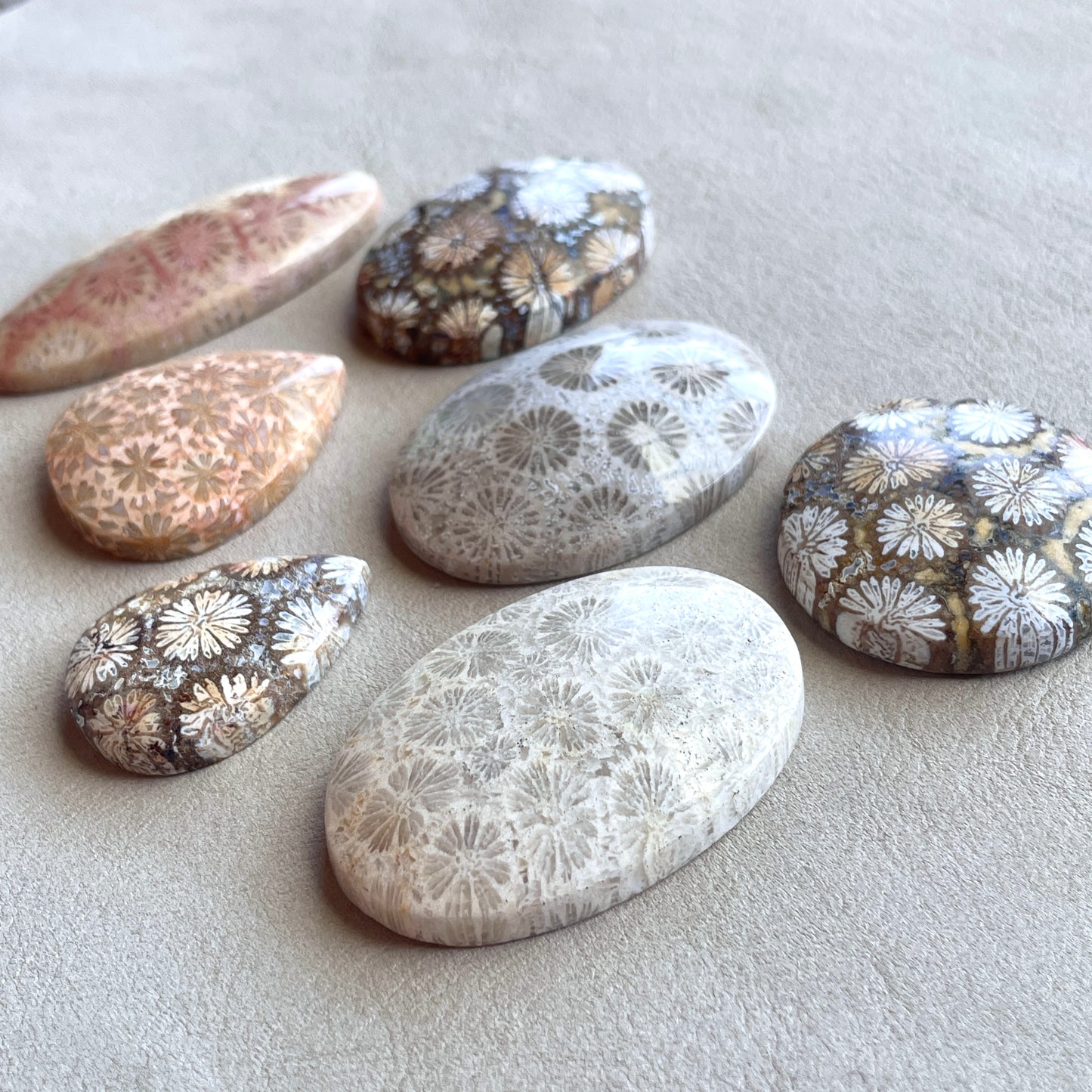 Fossil Coral Cabochon Smooth - Choose your Stone (W1)