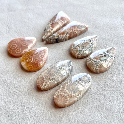 Fossil Coral Cabochon Pairs - Choose your Pair (W4)