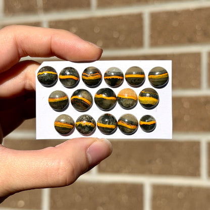 8-11mm Bumblebee Jasper Round Cabochon Smooth - Choose your Stone (W9)