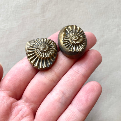 Pyritized Negative Ammonite Fossil Cabochon - Choose your Stone (W11)