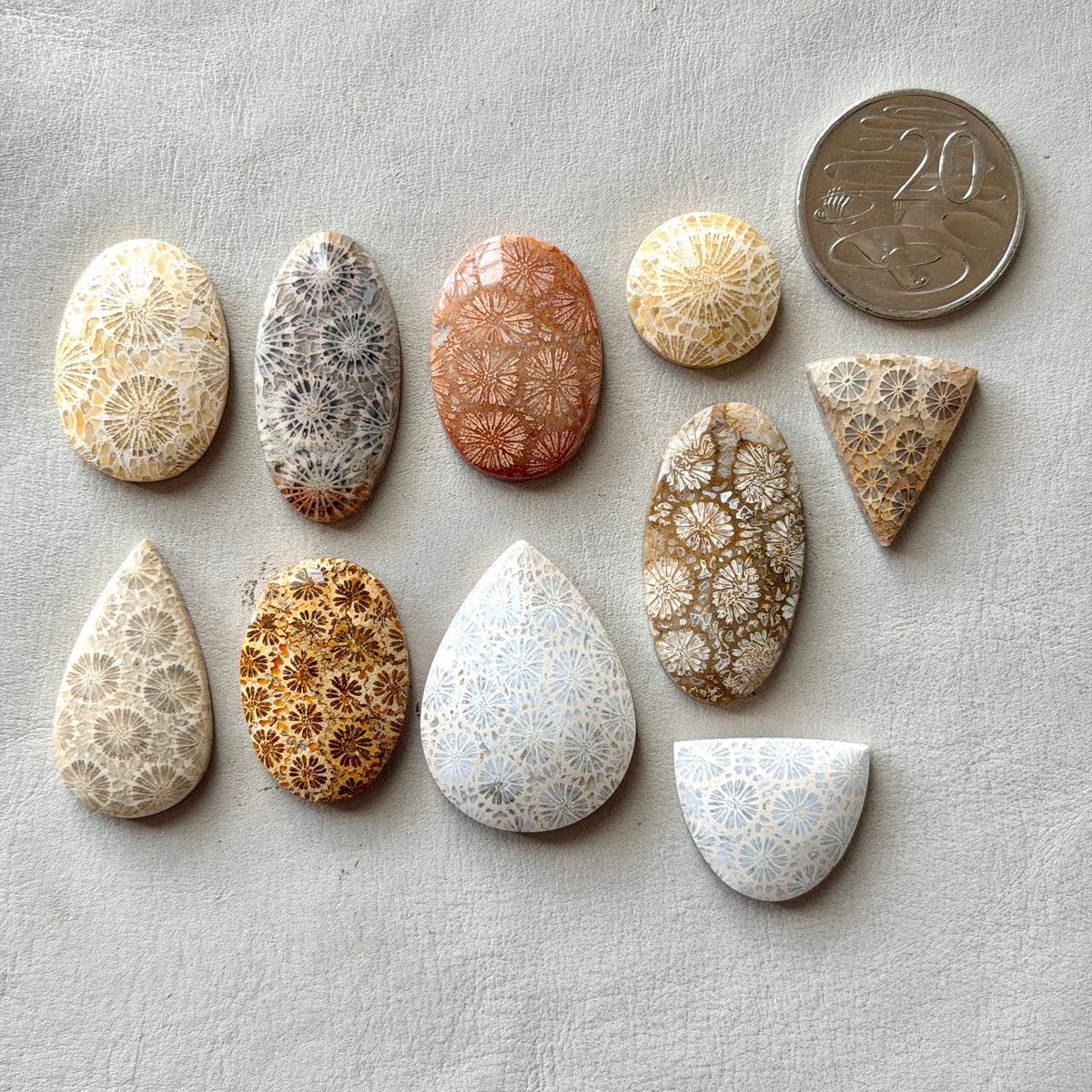 Fossilised Coral Cabochon Smooth - Choose your Stone (W17)