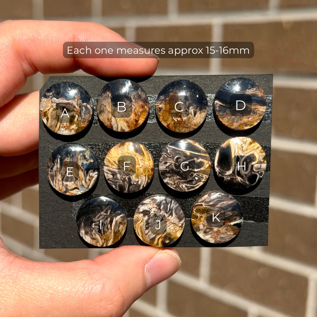 Fossilised/Petrified Black Palm Root Cabochon Round Smooth (15mm) - Choose your Stone (W13)