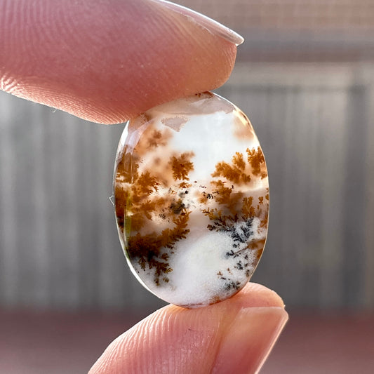 Russian Dendritic Agate Cabochon Smooth - 23x16mm (W2)