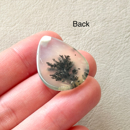‘Solitary Pine’ Dendritic Opal Agate Teardrop Cabochon - 29.5mm x 21.5mm (W16)