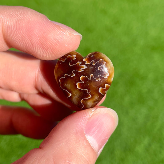 Leaf-pattern Ammonite Fossil Heart Cabochon (W9)