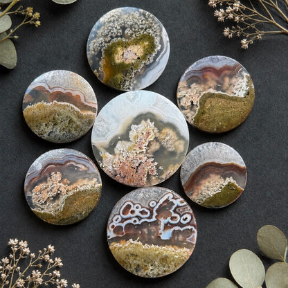 27-40mm Black Banded Moss Agate Round Cabochon Smooth - Choose your Stone (W15)